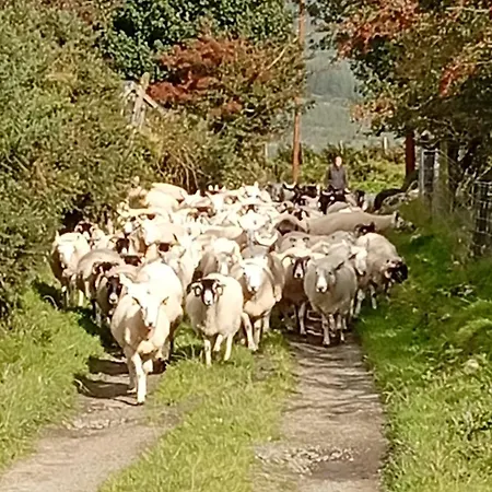 Mountain Holiday home Aghavannagh