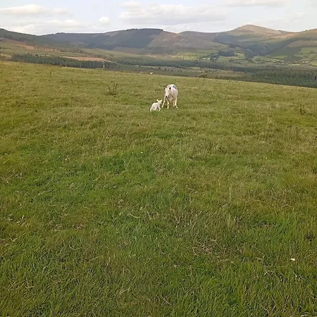 Holiday home Mountain Aghavannagh
